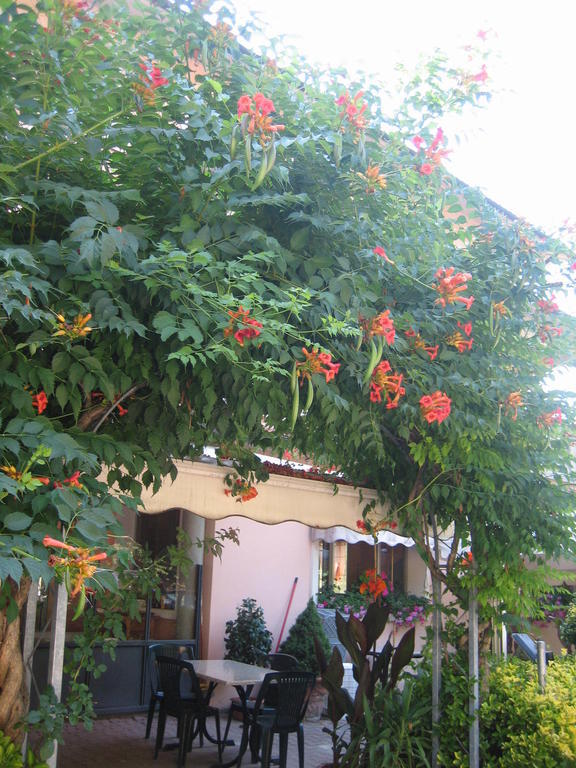 Grizzana Albergo Ristorante Sterlina חדר תמונה